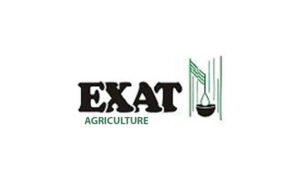 p-exat
