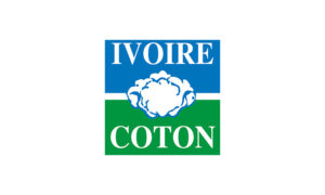 p-ivoire-coton